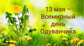 13 мая - День одуванчика в нашем детском саду! 13 мая - День одуванчика в нашем детском саду!.